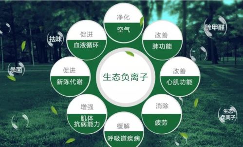 我家使用薇伊負離子空氣凈化器的真實體驗與對自然生態系統保護的思考